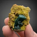 Zincolivenite on Gartrellite - image 2