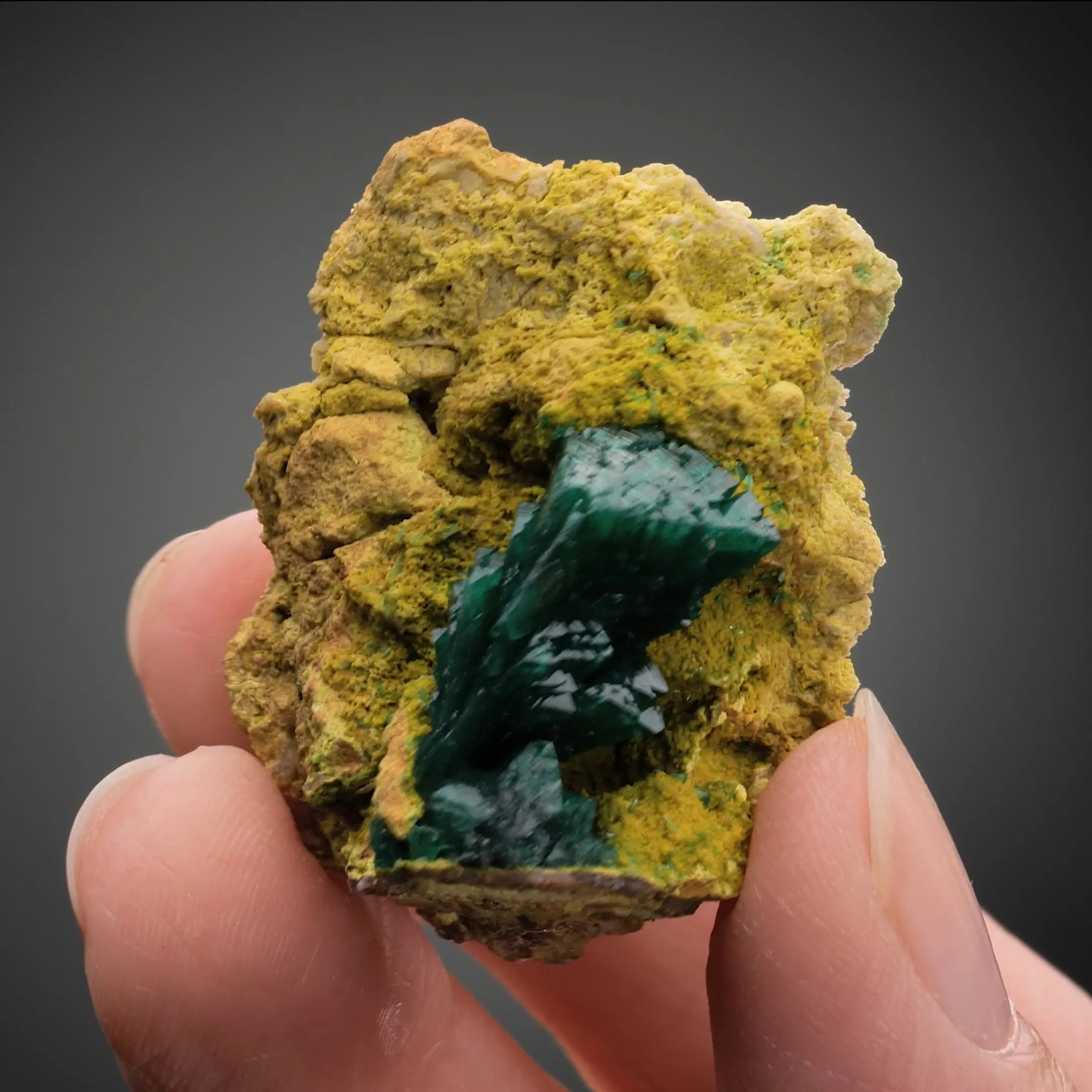 Zincolivenite on Gartrellite - image 2