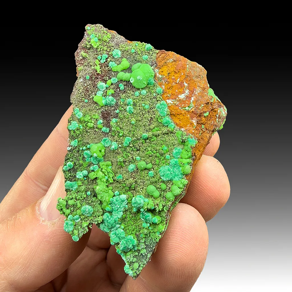 Zincolivenite with Conichalcite image