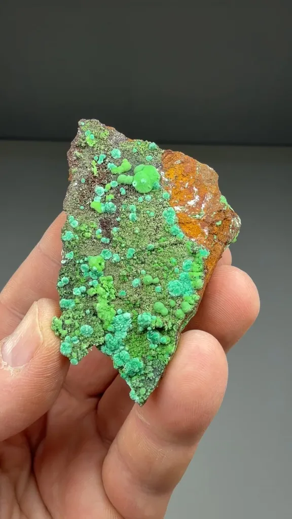 Zincolivenite with Conichalcite - image 2