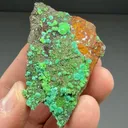 Zincolivenite with Conichalcite - image 2