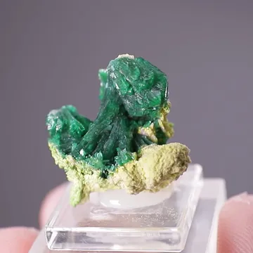 Zincolivenite with FERRILOTHARMEYERITE