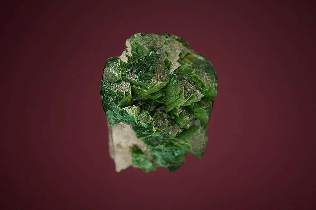 Zincolivenite with Malachite - image 3