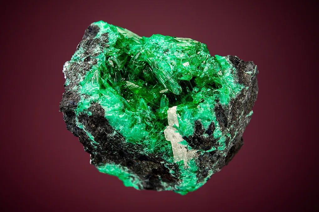 Zincolivenite WITH Schultenite image