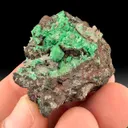 Zincolivenite with Schultenite - image 1