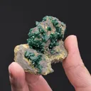 Zincolivenite with Tsumcorite - image 2