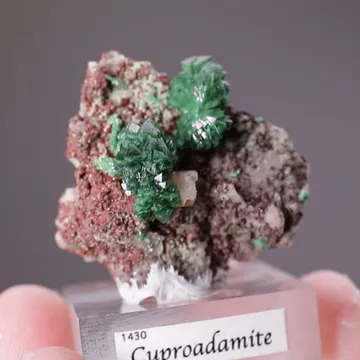 Zincolivenite with Wulfenite