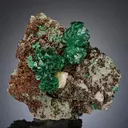 Zincolivenite with Wulfenite - image 1