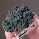 ZINCOLIVINITE with Malachite - image 2
