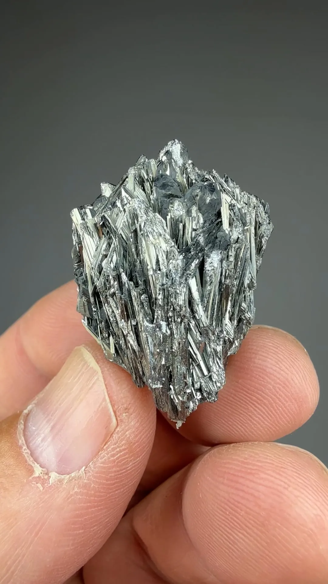 Zinkenite with Stannite - image 2