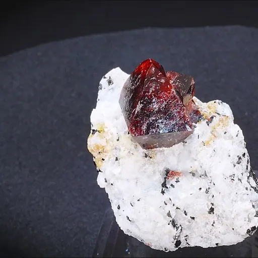 specimen video
