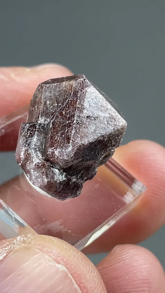 Zircon - image 2