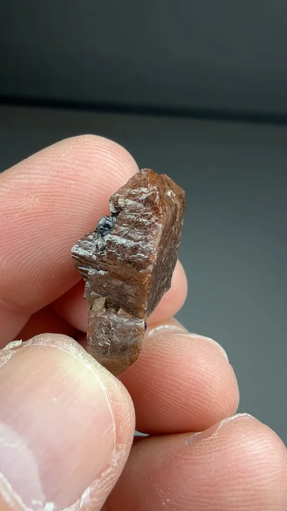 Zircon - image 2