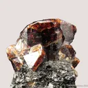 Zircon (fluor.) on Biotite and Hornblende - image 5