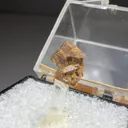 Zircon from New Hampshire, USA - image 2