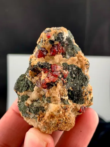 specimen video