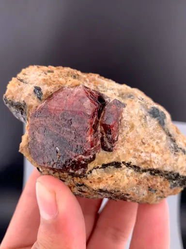 specimen video