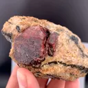 specimen video