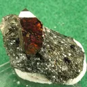 Zircon on Biotite - image 1