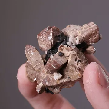 Zircon with Aegirine