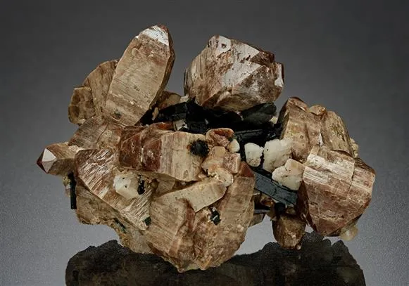 Zircon with Aegirine image