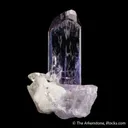 Zoisite var. Tanzanite on Diopside - image 5
