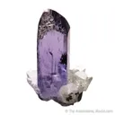 Zoisite var. Tanzanite on Diopside - image 1