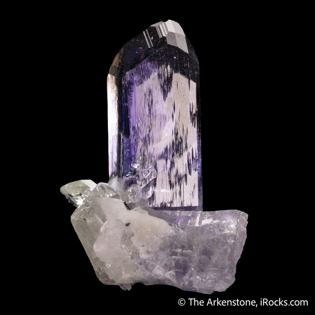Zoisite var. Tanzanite on Diopside - image 4