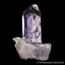 Zoisite var. Tanzanite on Diopside - image 4