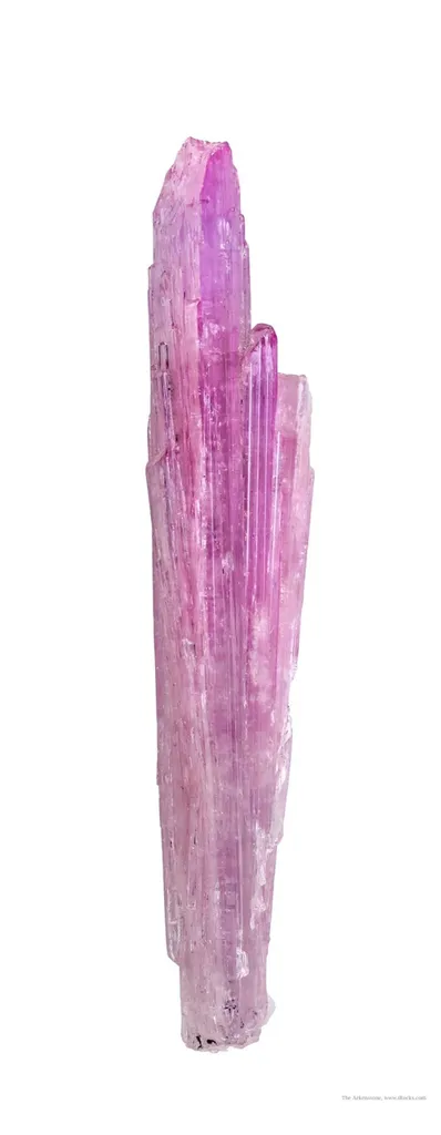 Zoisite Var. Tanzanite (Pink) image