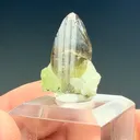 Zoisite with Diopside - image 2