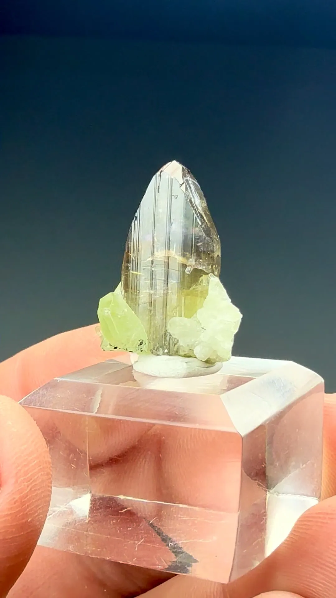 Zoisite with Diopside - image 2