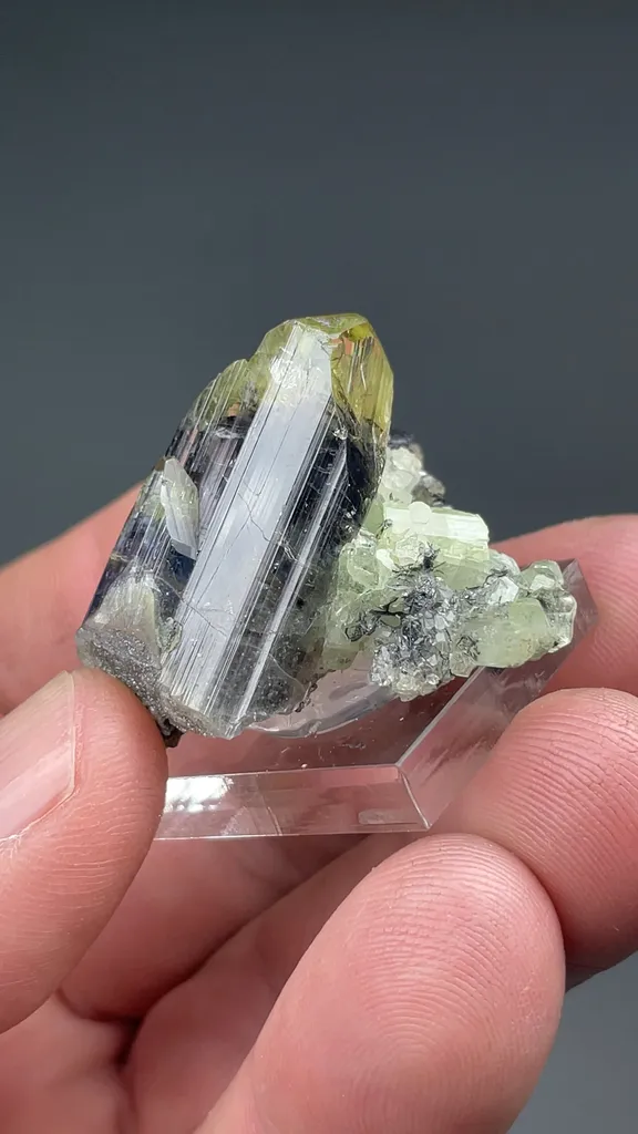 Zoisite with Diopside, Titanite - image 2