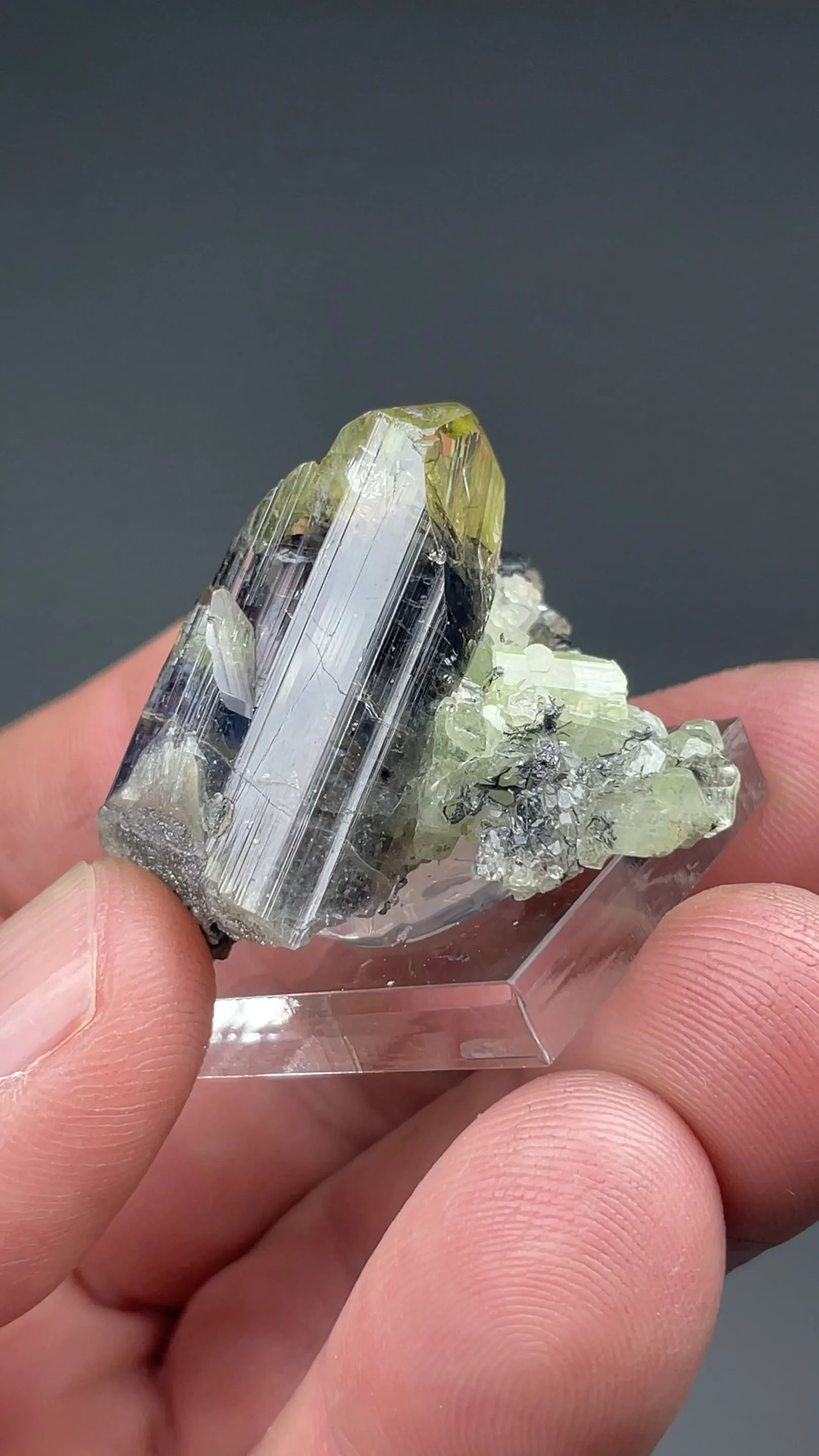 Zoisite with Diopside, Titanite - image 2