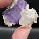 Zoned Fluorite with Quartz from China, Yaogangxian Mine - 10111 - image 1