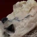 Zunyite (superb xls from best of species find) - image 6