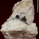 Zunyite (superb xls from best of species find) - image 1