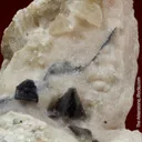 Zunyite (superb xls from best of species find) - image 5