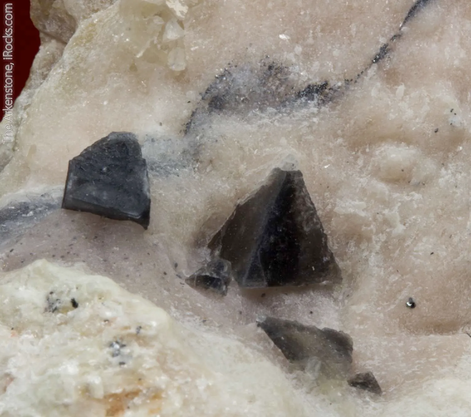 Zunyite (superb xls from best of species find) - image 3